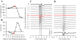 Fig. 6.