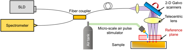 Fig. 1.