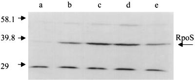 FIG. 9