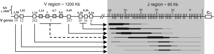 Figure 8.