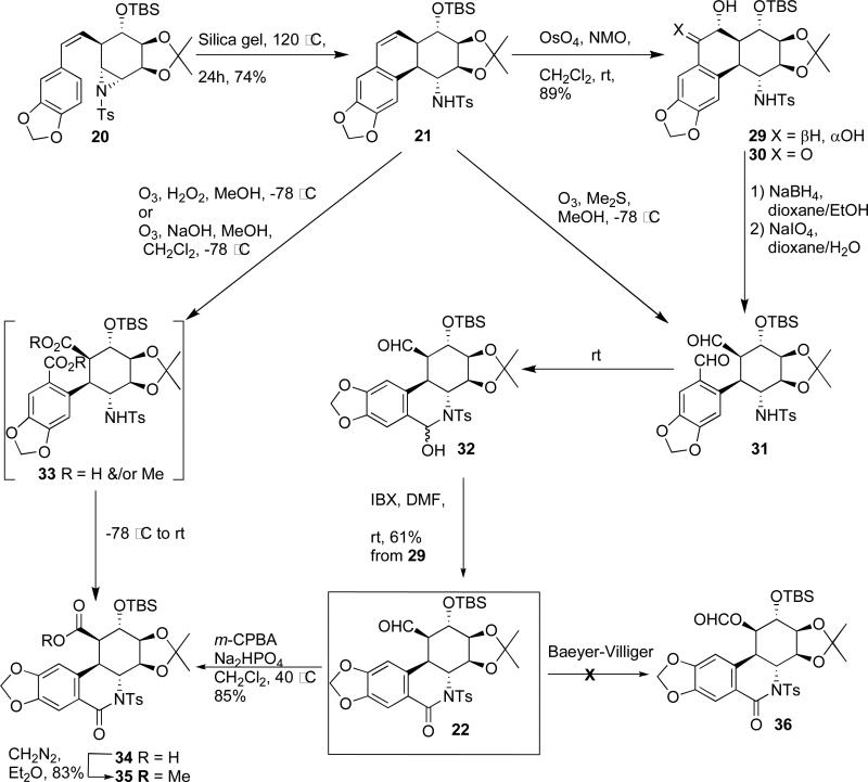 Scheme 2