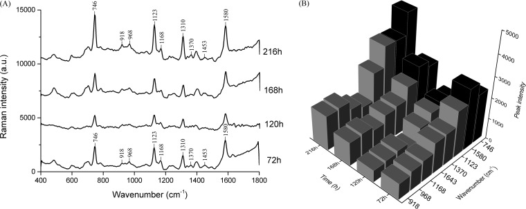 FIG 3