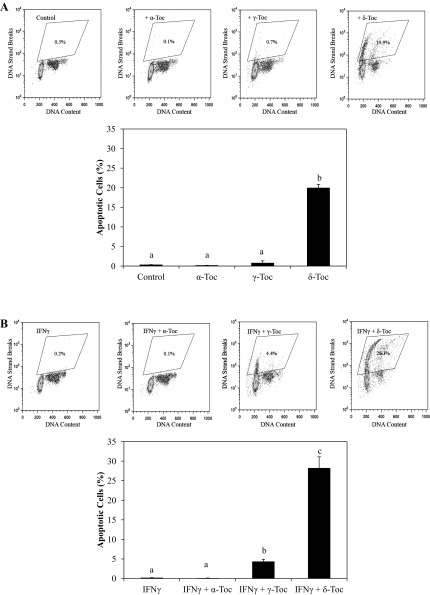 Fig. 8.