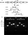 FIG 1