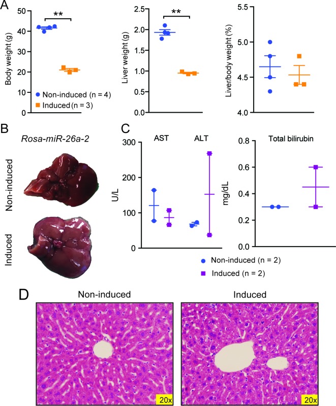 Figure 5—figure supplement 1.