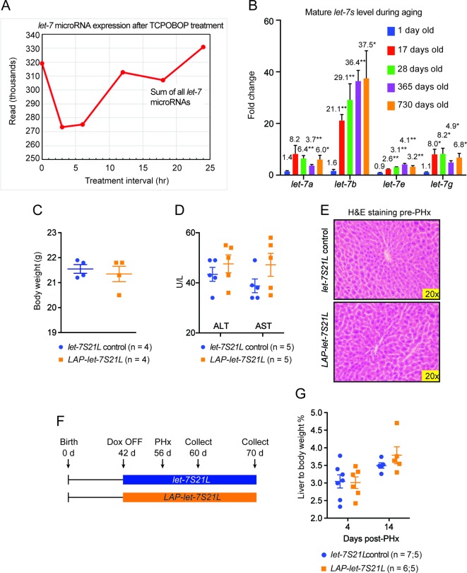 Figure 2—figure supplement 1.