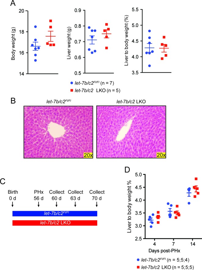 Figure 3—figure supplement 1.