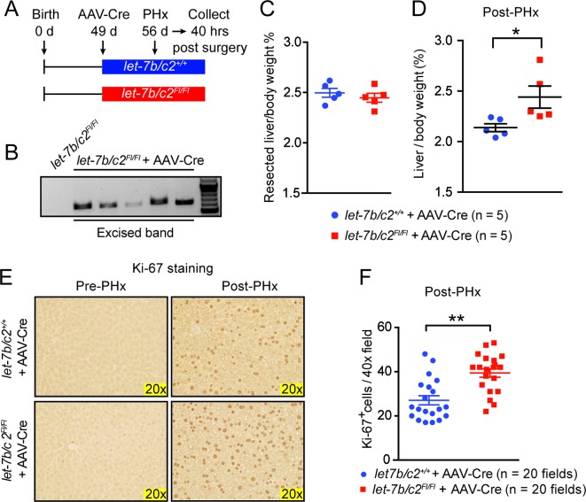 Figure 3—figure supplement 2.