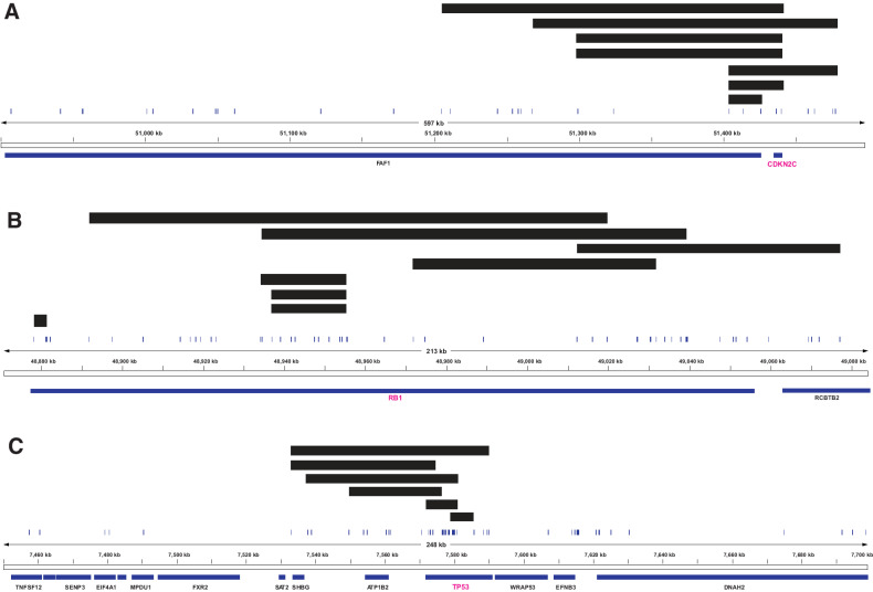 Figure 4. Detection of homozygous deletions in the key tumor suppressor genes CDKN2C, RB1, and TP53. Samples with homozygous deletions plotted at the CDKN2C (A), RB1 (B), or TP53 (C) loci. Black bars indicate homozygous deletion events in samples. Gene/exon locations are shown below each plot and vertical lines indicate capture regions on the panel.