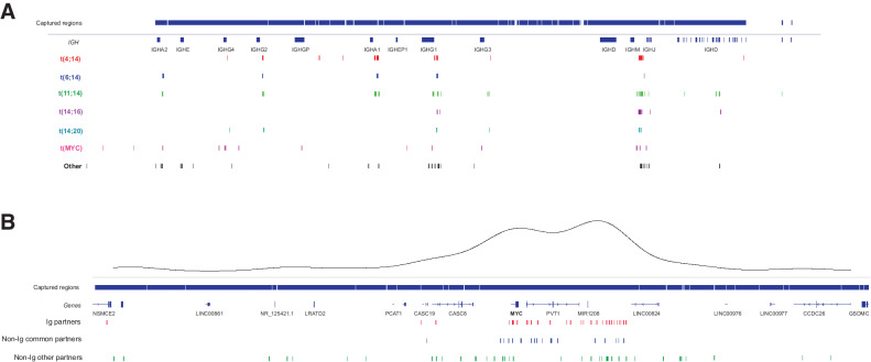 Figure 5. Translocation breakpoints. A, IGH@ locus breakpoints broken down by partner chromosome. V regions not shown for clarity. Captured regions extend to each V region. B, MYC region breakpoints broken down by Ig, non-Ig common (FOXO3, TXNDC5, FAM46C), and other partners. A kernel density plot shows the two main translocation hotspots centromeric of MYC and telomeric of PVT1.