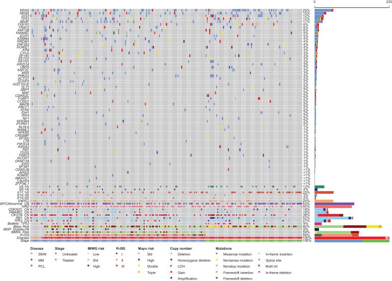 Figure 1. Frequency of mutations in 63 key driver genes, translocations, hyperdiploidy, and key CNAs detected by targeted sequencing. Risk stratification of patients was determined from genomic and biochemical makers. MM, multiple myeloma.