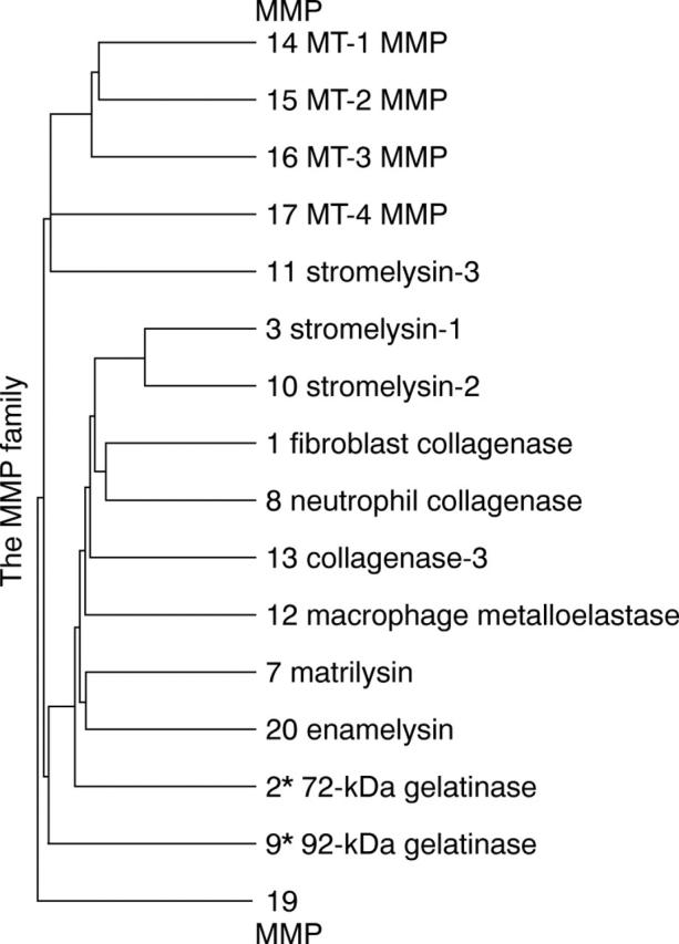 Figure 1  