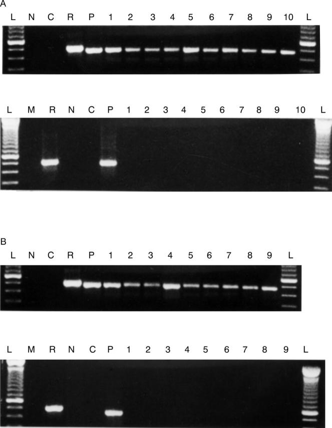 Figure 2  