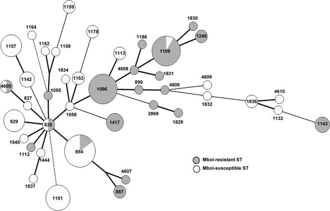 FIG. 2.