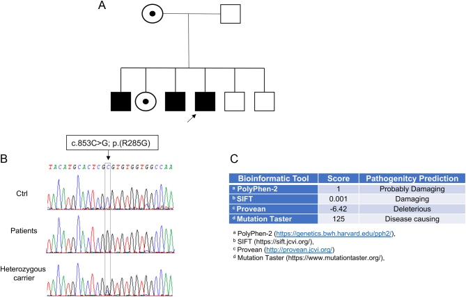 Figure 1