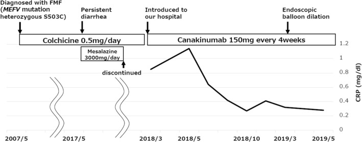 Fig. 1