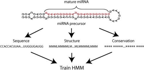 Figure 2.