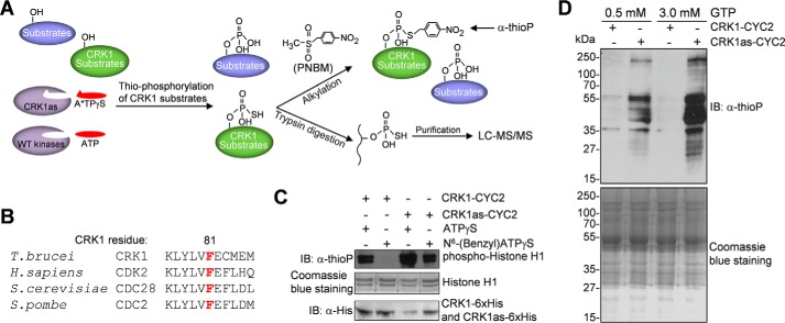 FIGURE 1.