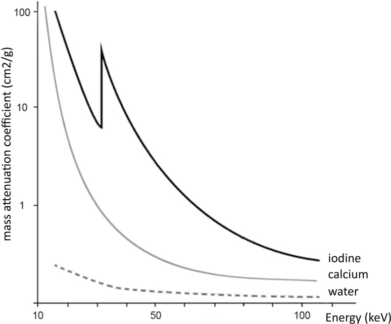 Fig. 2