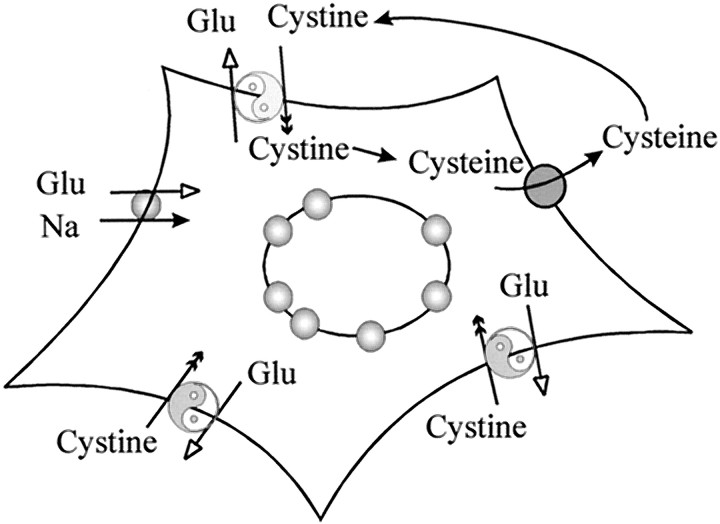 Fig. 8.