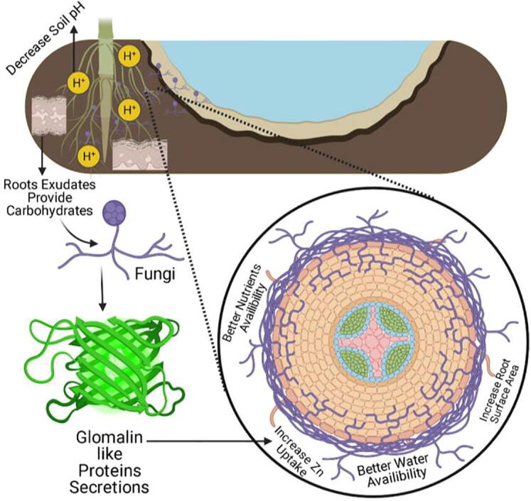 Fig. 2