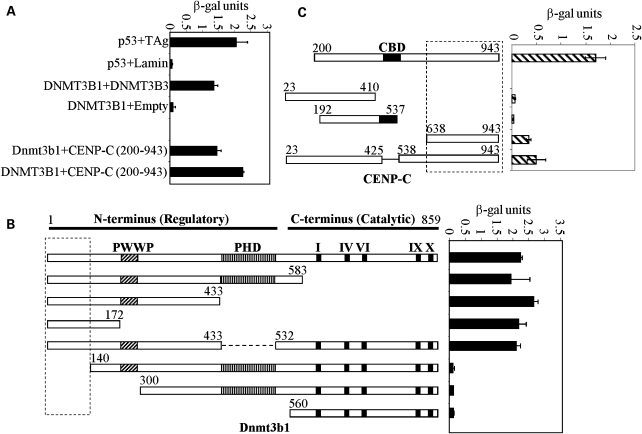 Figure 1.