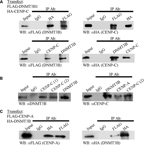 Figure 2.