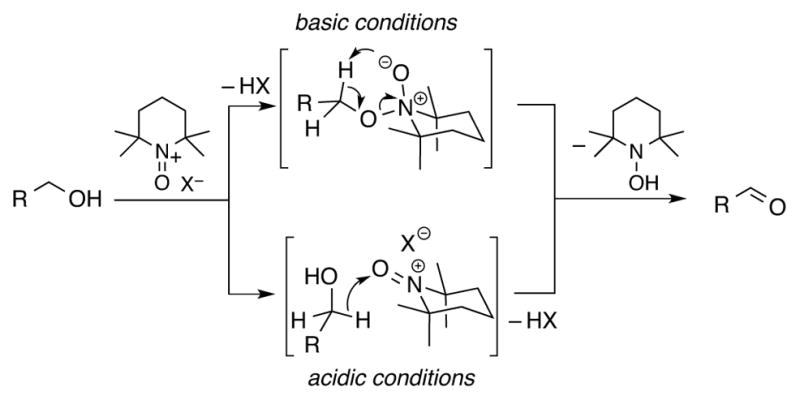 Scheme 2