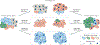 Fig. 5 |