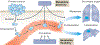 Fig. 1 |
