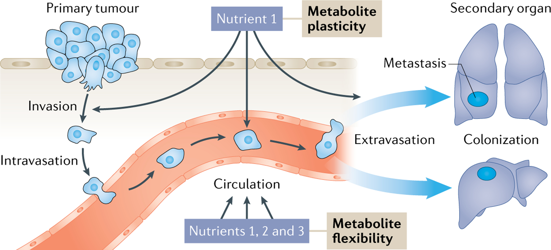 Fig. 1 |