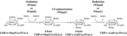 Fig. 8