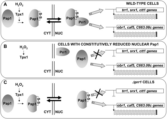 Figure 6.