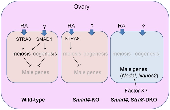 Fig 8