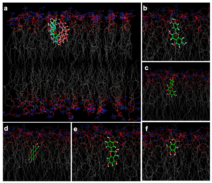 Figure 6