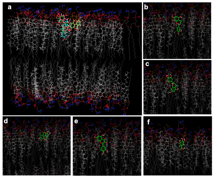 Figure 7