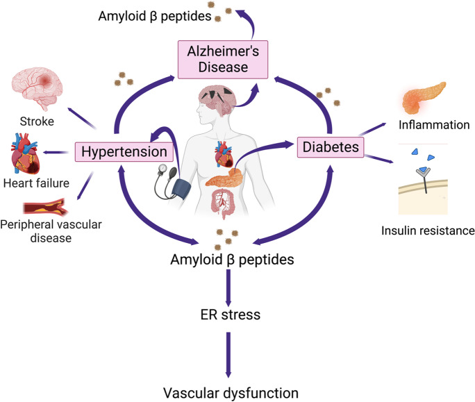 Graphical abstract