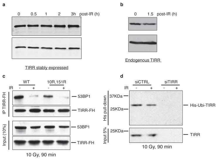 Extended Data Figure 3