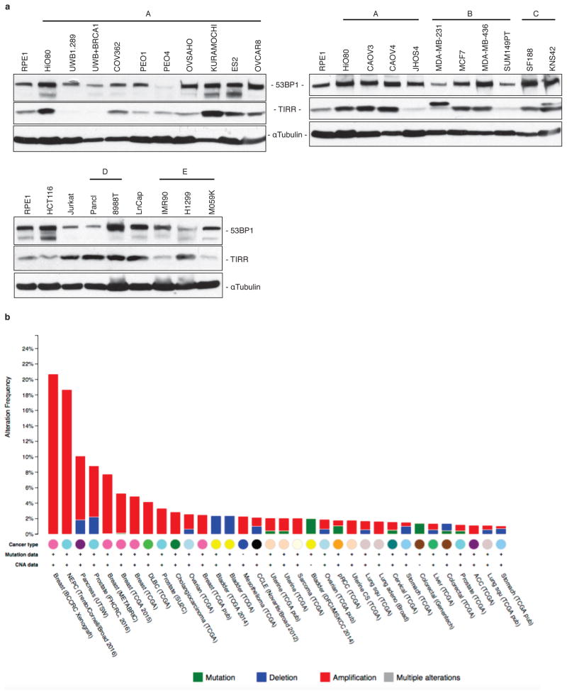 Extended Data Figure 6