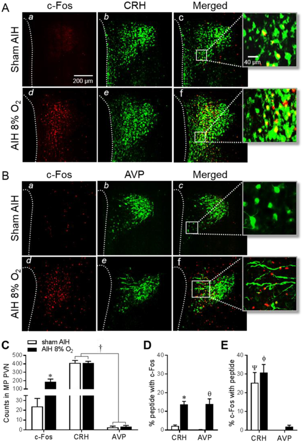 Figure 3: