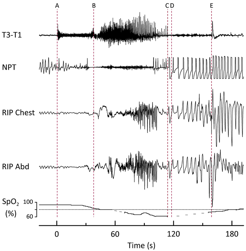 Figure 3: