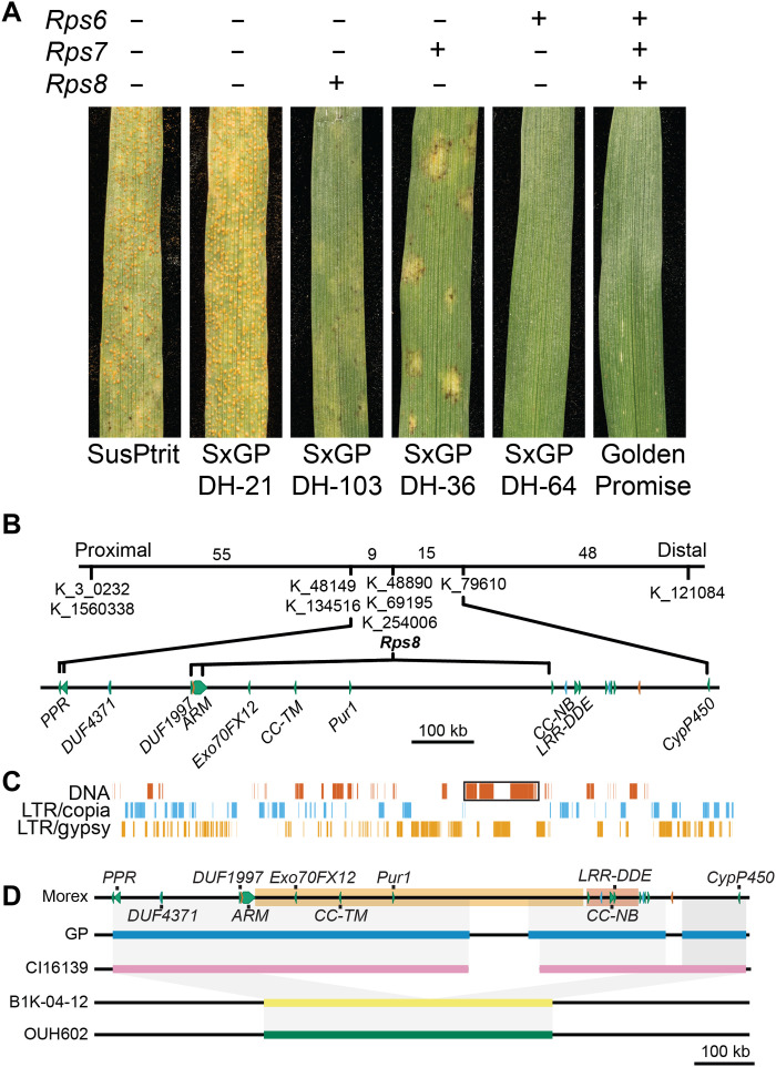 Fig. 1.