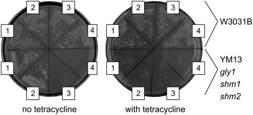 Figure 2.