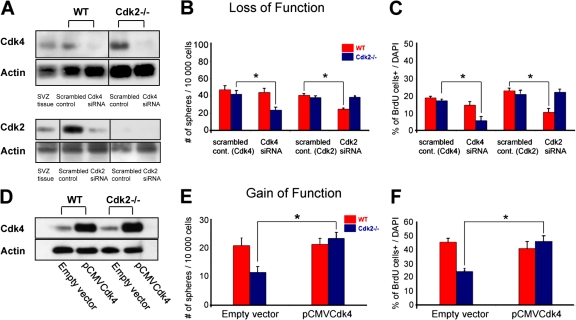 Figure 10. 