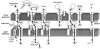 FIG. 1.