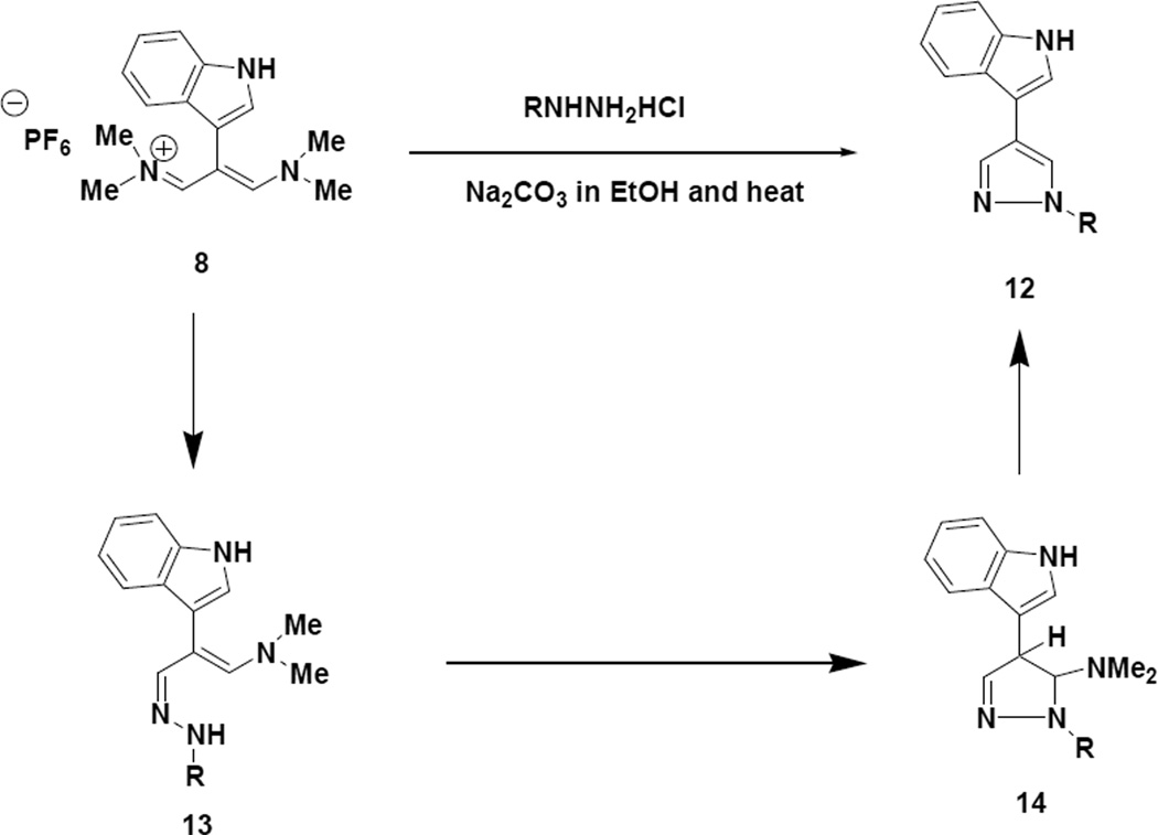 Scheme 3