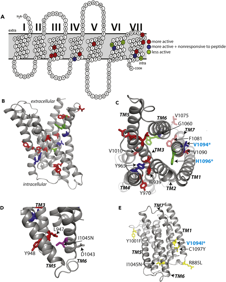 Figure 4