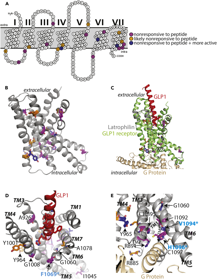 Figure 6