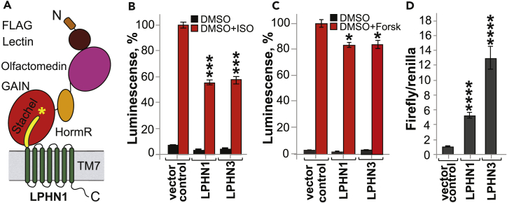 Figure 1