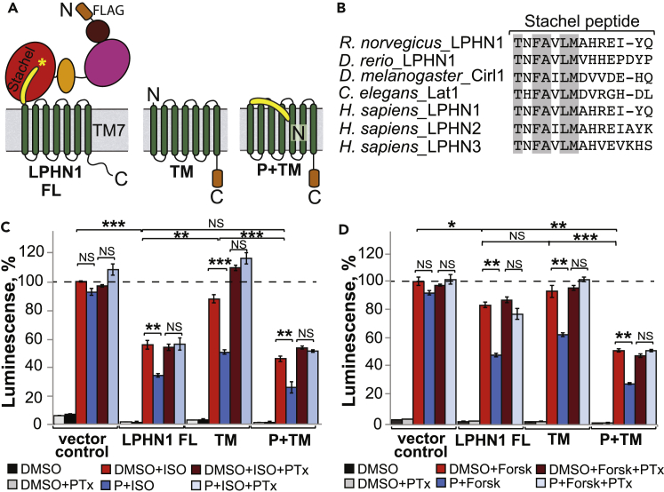 Figure 2